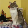 Отзыв от Лариса Кудрявцева